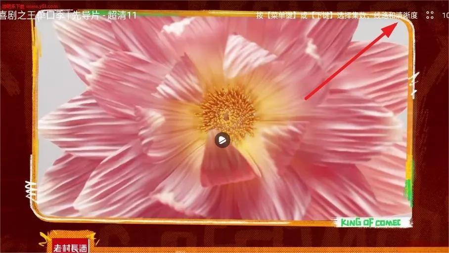 网飞猫最新手机版 网飞猫最新手机版