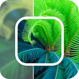 ģƬ޸(Ƭ޸)v23.5.10 Ѱ