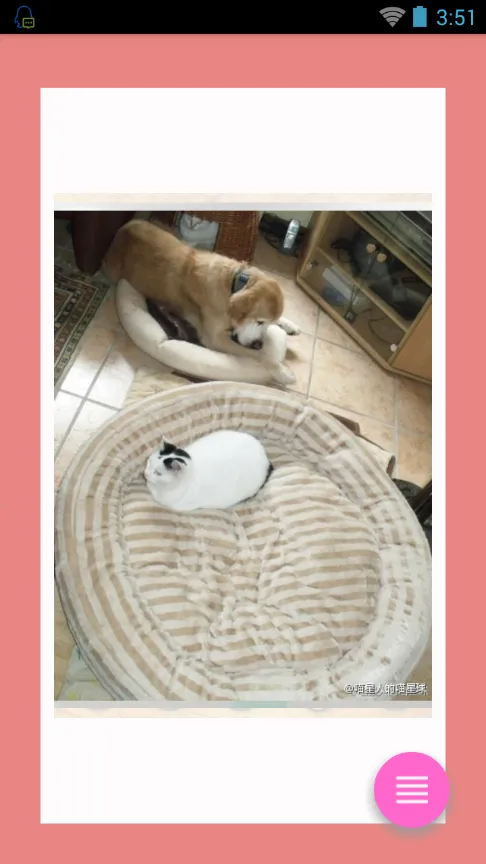 CatDog2025ٷv1.0 ֻͼ