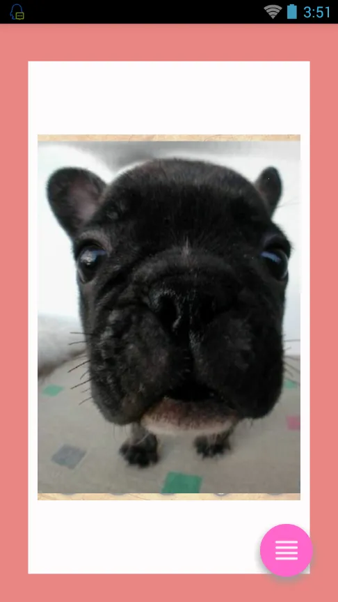 CatDog2025ٷv1.0 ֻͼ