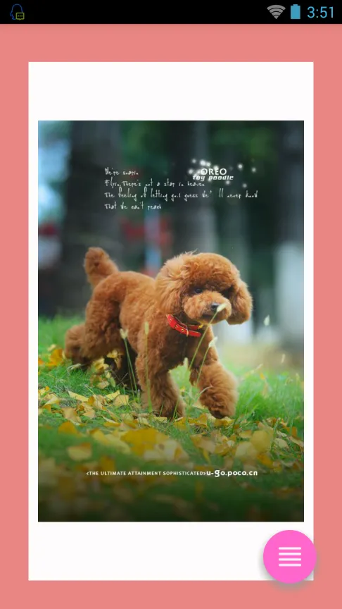 CatDog2025ٷv1.0 ֻͼ