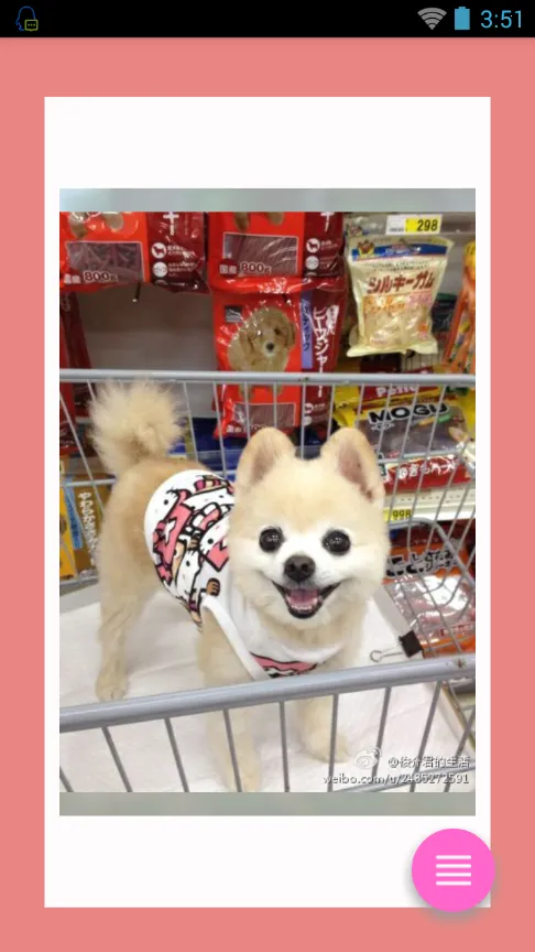 CatDog2025ٷv1.0 ֻͼ