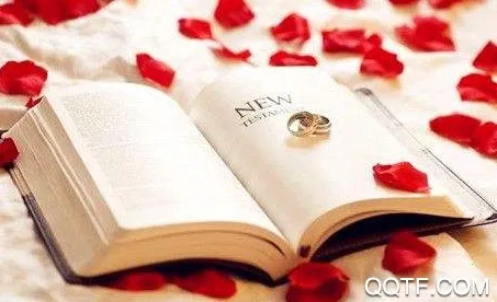 片语最新手机版 片语最新手机版