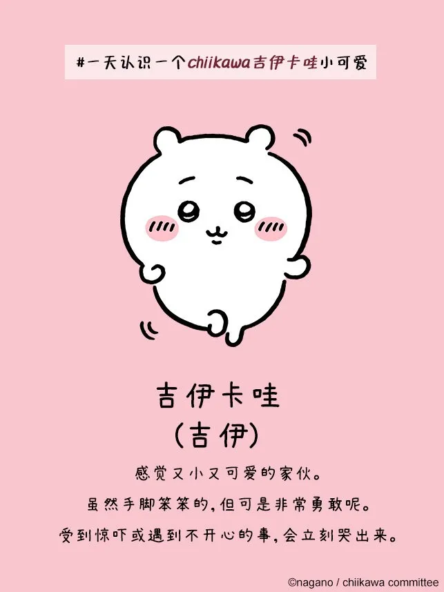 口袋吉伊卡哇国际服安卓版手机版 口袋吉伊卡哇国际服安卓版手机版