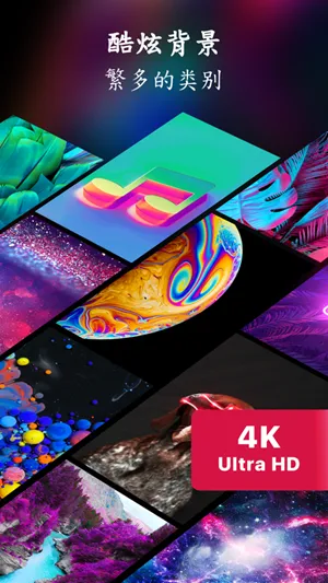 4kֽ̬2025ٷ°汾v1.6 ֻͼ