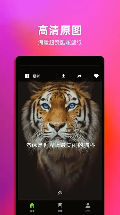 4kֽ̬2025ٷ°汾v1.6 ֻͼ