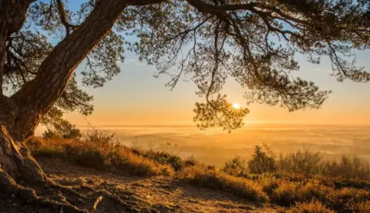 视频抠图精灵(视频编辑) 视频抠图精灵(视频编辑)