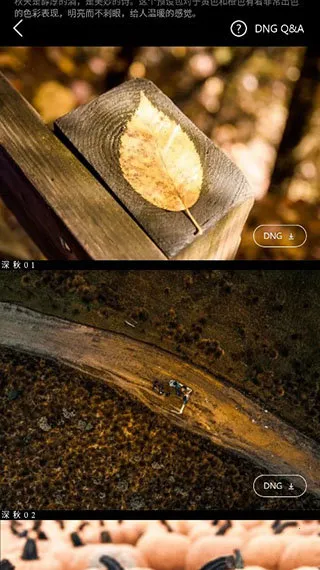 Koloro�˾���ʦ��ɫ�����ֻ���