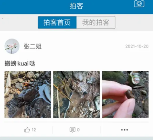 五彩石柱2025官方正版 五彩石柱2025官方正版