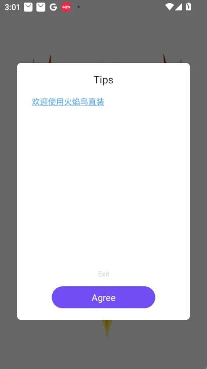 ������v2ֱװ��׿���ֻ���v1.0 �ֻ����ͼ