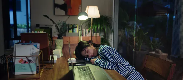 ����4K(4K��Ƶ��������)