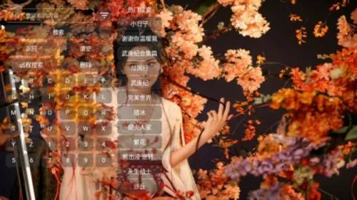 ����Ӱ��(Ӱ�Ӳ�������)