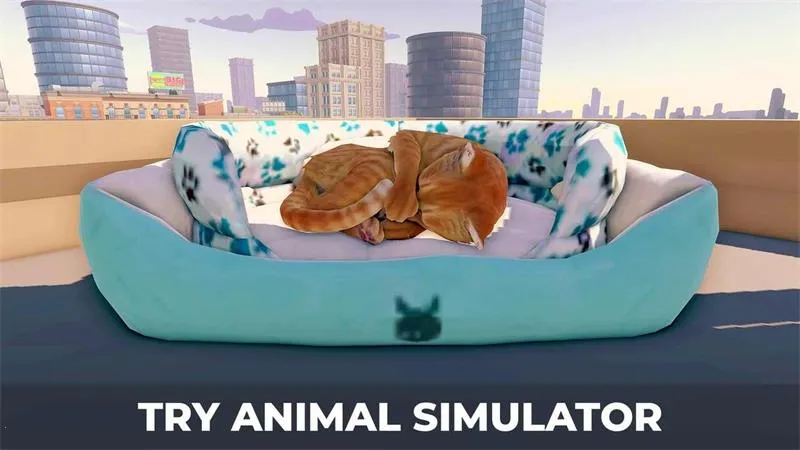 è�����ռǴ���(è�䶼��ð����Ϸ)v1.1 ��׿���ͼ