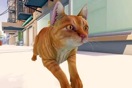 è�����ռǴ���(è�䶼��ð����Ϸ)