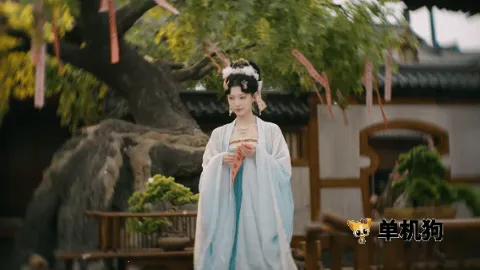 �군�ұ���Ů��Χ��22025�ٷ�����