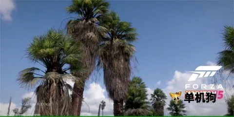 ��ƽ��5��������2025�ٷ����°汾