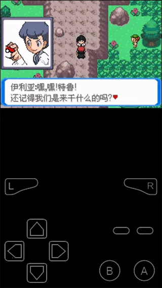 �ڴ����־���(����������Ϸ)