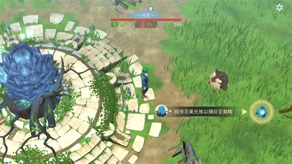 Amikin������ʷ�