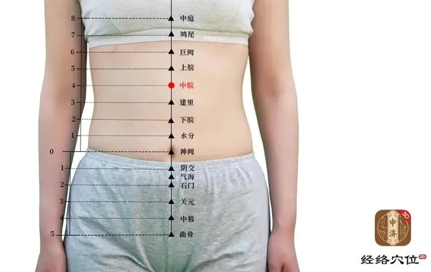 知源经络穴位2025最新版本 知源经络穴位2025最新版本