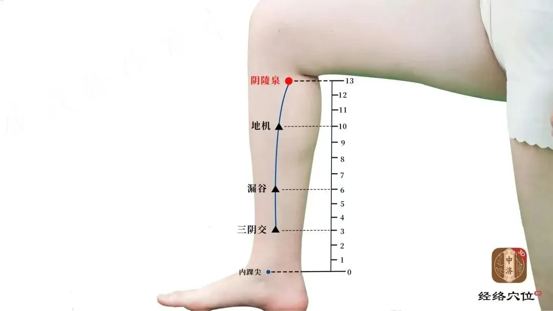 知源经络穴位2025最新版本 知源经络穴位2025最新版本