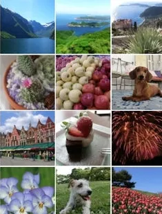 EXILIM Connect2025下载安装 EXILIM Connect2025下载安装