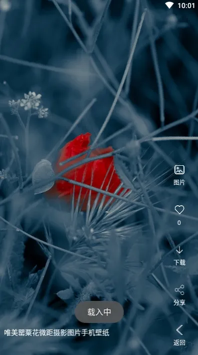 ������Ƶ��ֽ2025���ذ�װv4.1.4 �ֻ����ͼ