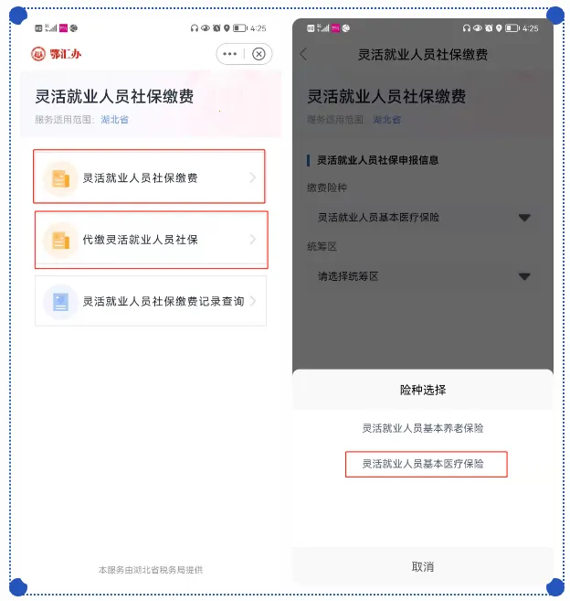 �������������2025�ٷ�����