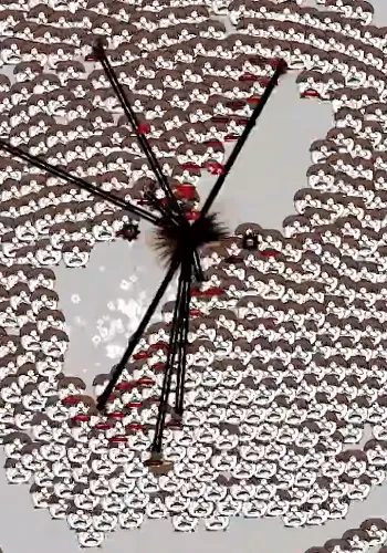 打工是不可能打工的最新手机版 打工是不可能打工的最新手机版