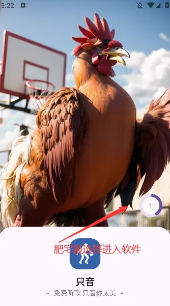 ֻ��(������������)