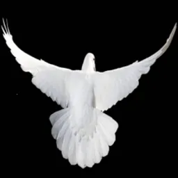 ����2025�ٷ�����v2.3.9 ��׿��