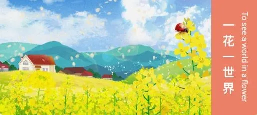 ��������滭(�ֻ��滭����)