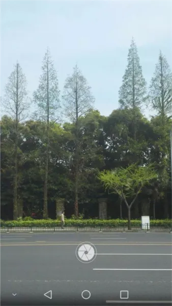 ��������滭(�ֻ��滭����)