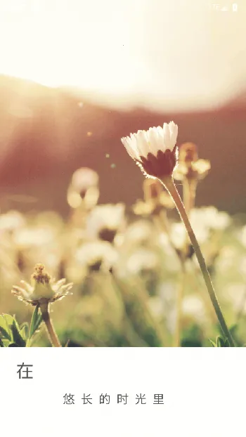 ��ʱ�������ֻ���