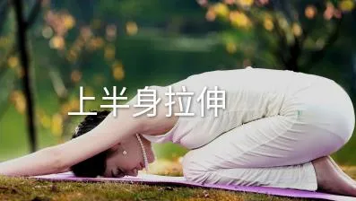 �����������2026���°汾