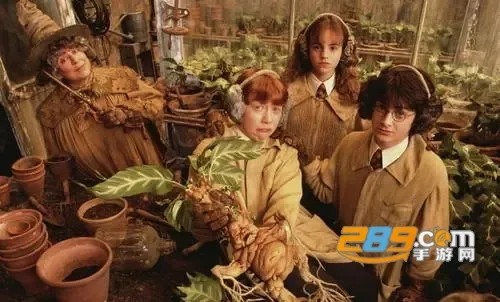 ����Ӱ��(Ӱ��׷������)