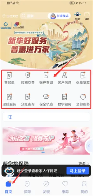 �����»�