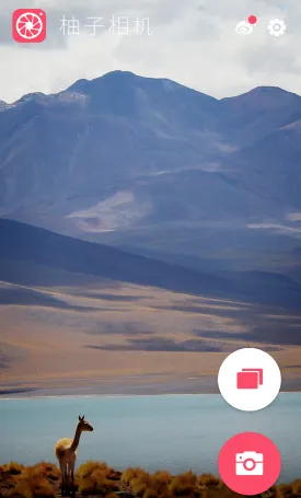 ������������ֻ���