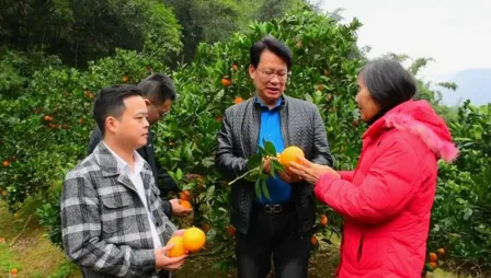 ���Գ�����˰�׿���ֻ���