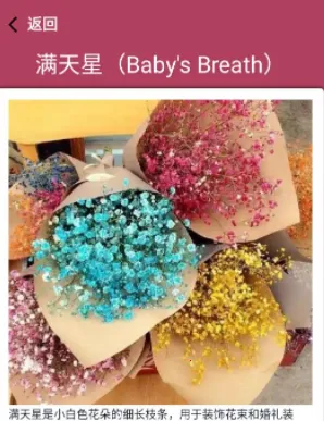 花草妙识2026下载安装 花草妙识2026下载安装