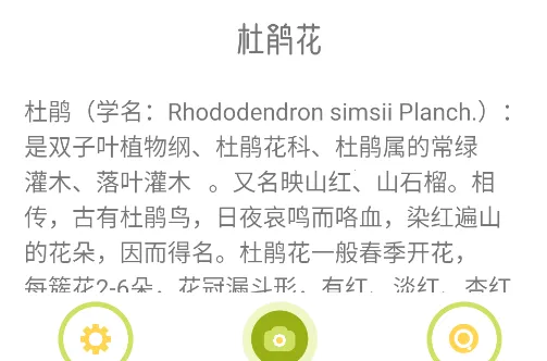 花草妙识2026下载安装 花草妙识2026下载安装