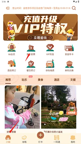 松鼠小镇2026最新版本 松鼠小镇2026最新版本