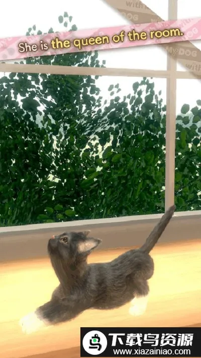 ���ҵ�èv1.0.0 ��׿���ͼ