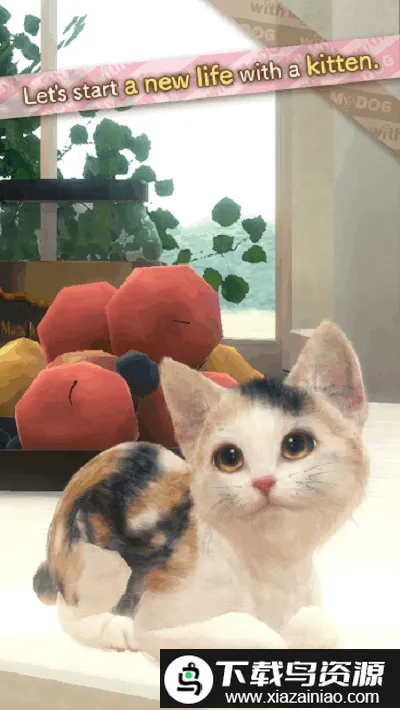 ���ҵ�èv1.0.0 ��׿���ͼ