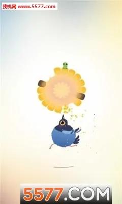 ���ĸ��������ֻ���