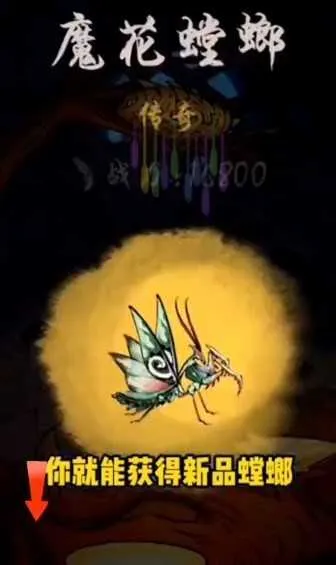 极品螳螂2026下载安装 极品螳螂2026下载安装