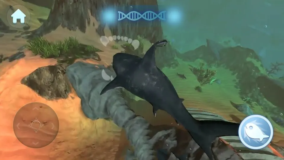 �����С������