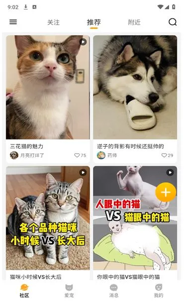 i���԰��׿���ֻ���