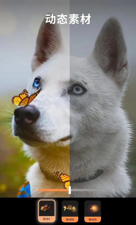 motionleap����v1.6.1 ��׿���ͼ