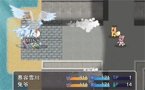 四叶苜蓿 四叶苜蓿