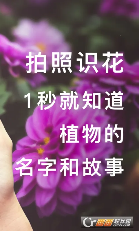 ��ɫv3.14.25 ��Ѱ��ͼ